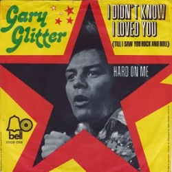 I Didn't Know I Loved You (Till I Saw You Rock 'n' Roll)