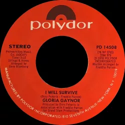 I Will Survive (remix)