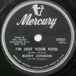 I'm Just Your Fool