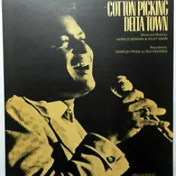 Mississippi Cotton Pickin' Delta Town