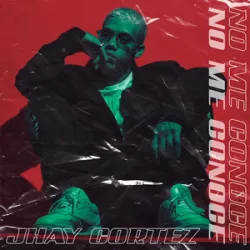 No Me Conoce (Remix)