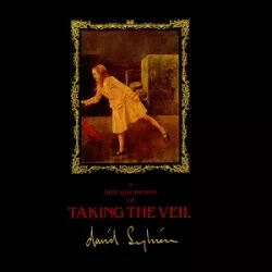 Taking the Veil
