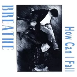 How Can I Fall?