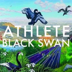 Black Swan Song