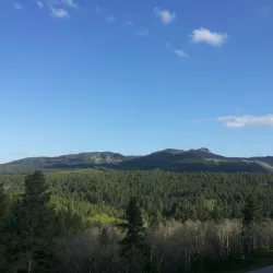The Black Hills of Dakota