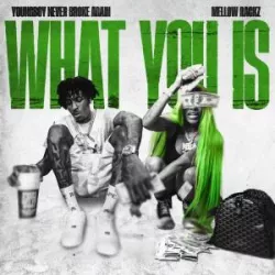 What You Is