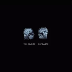 Satellite