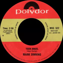 Teen Angel