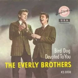 Bird Dog