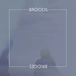 Bridges