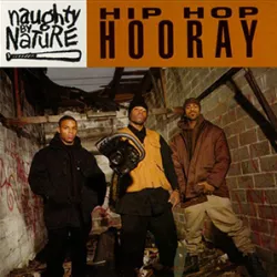 Hip Hop Hooray (remix)