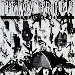 It's Raining Men (Millennium Mixes)