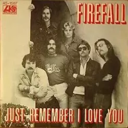 Just Remember I Love You