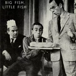 Big Fish Little Fish