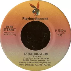 After the Storm