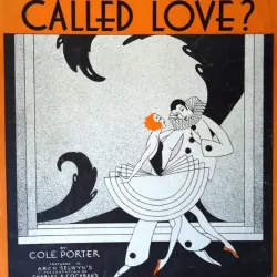 What is This Thing Called Love?