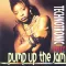 Pump Up the Jam (remix)