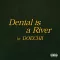 Denial Is a River