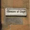 Beware of the Dog