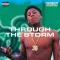 Through the Storm