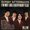 Sunny Afternoon
