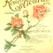 Roses of Picardy