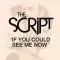 If You Could See Me Now