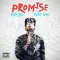 Promise