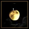 Forbidden Fruit