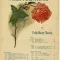 Mighty Like a Rose