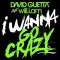 I Wanna Go Crazy