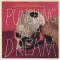Punching in a Dream