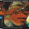 The Far-Out Son of Lung and the Ramblings of a Madman EP