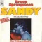 Sandy
